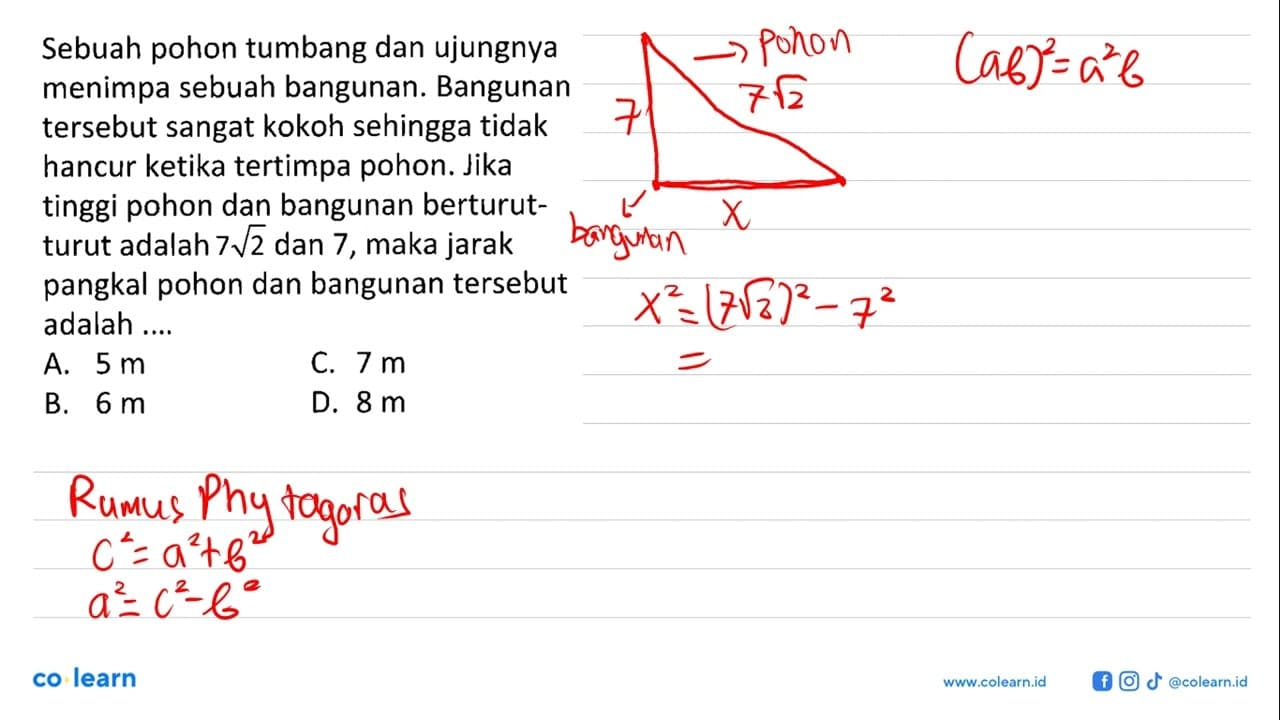 Sebuah pohon tumbang dan ujungnya menimpa sebuah bangunan.