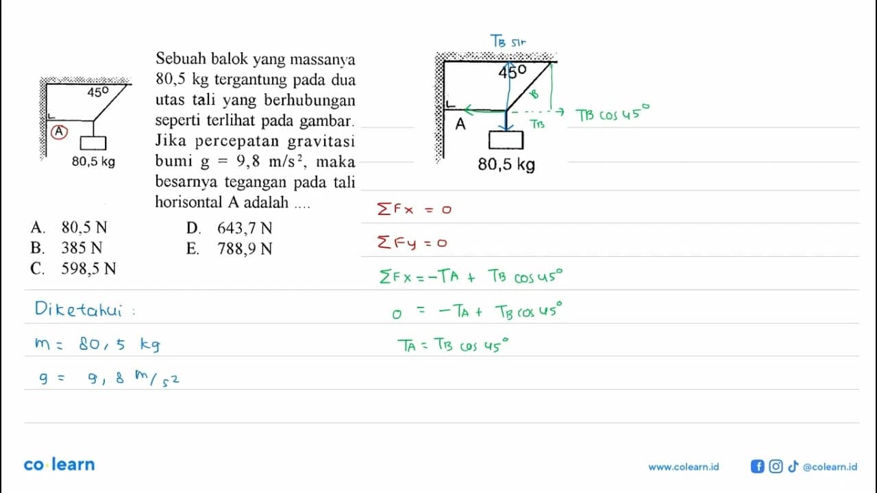 Sebuah balok yang massanya 80,5 kg tergantung pada dua utas