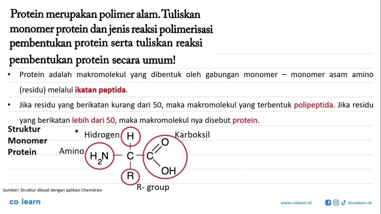 Protein merupakan polimer alam. Tuliskan monomer protein