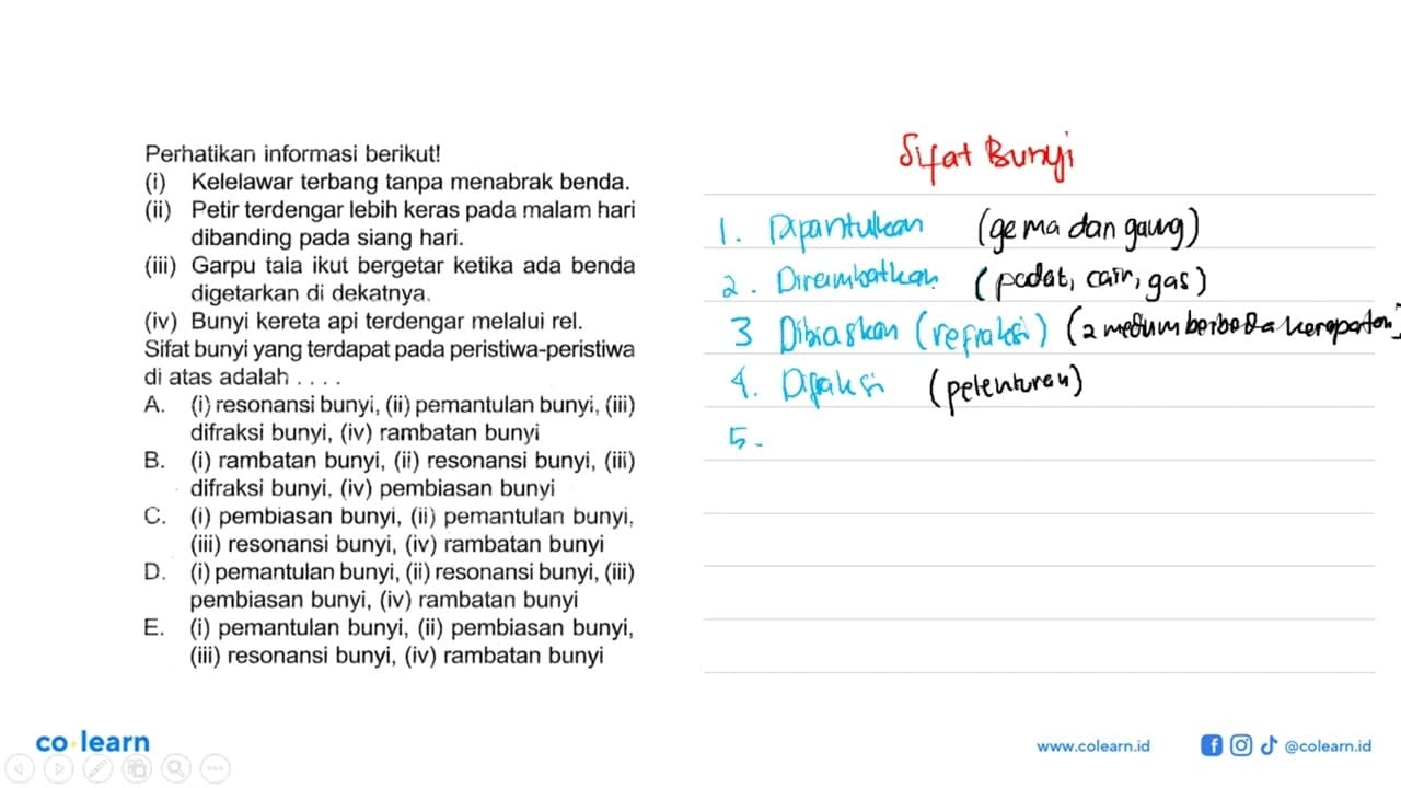 Perhatikan informasi berikut! (i) Kelelawar terbang tanpa