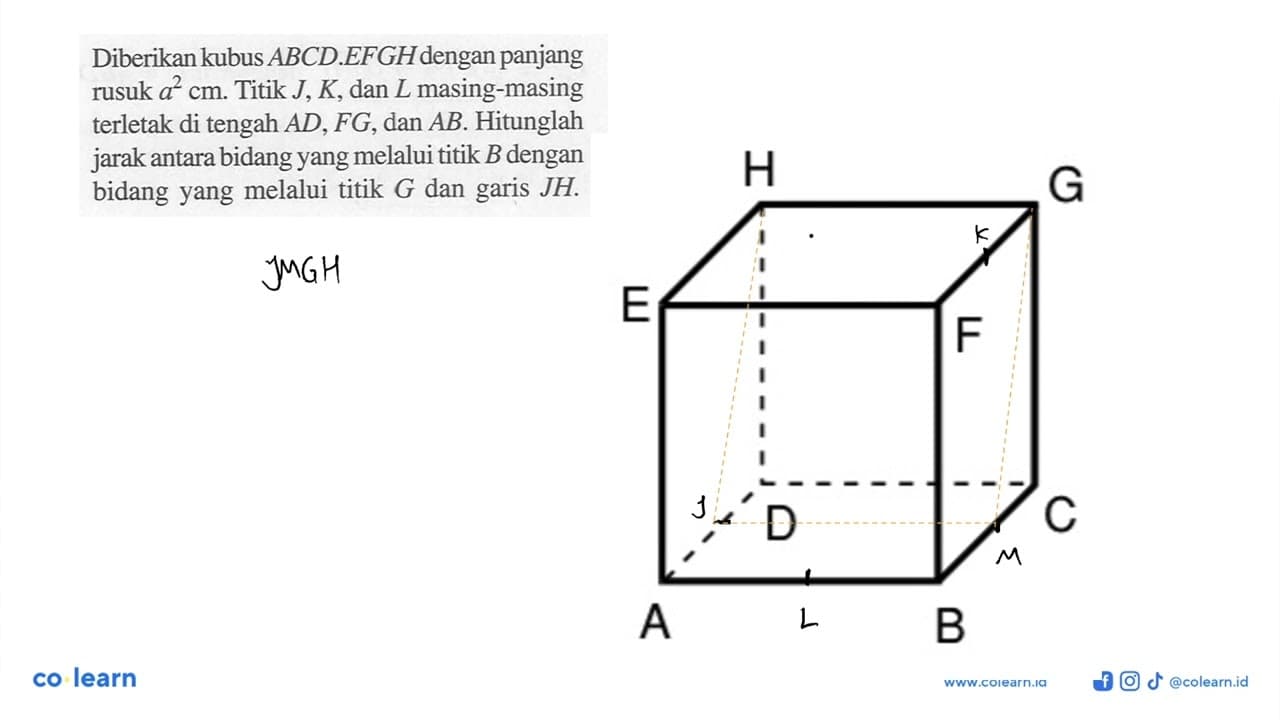 Diberikan kubus ABCD.EFGH dengan panjang rusuk a^2 cm.