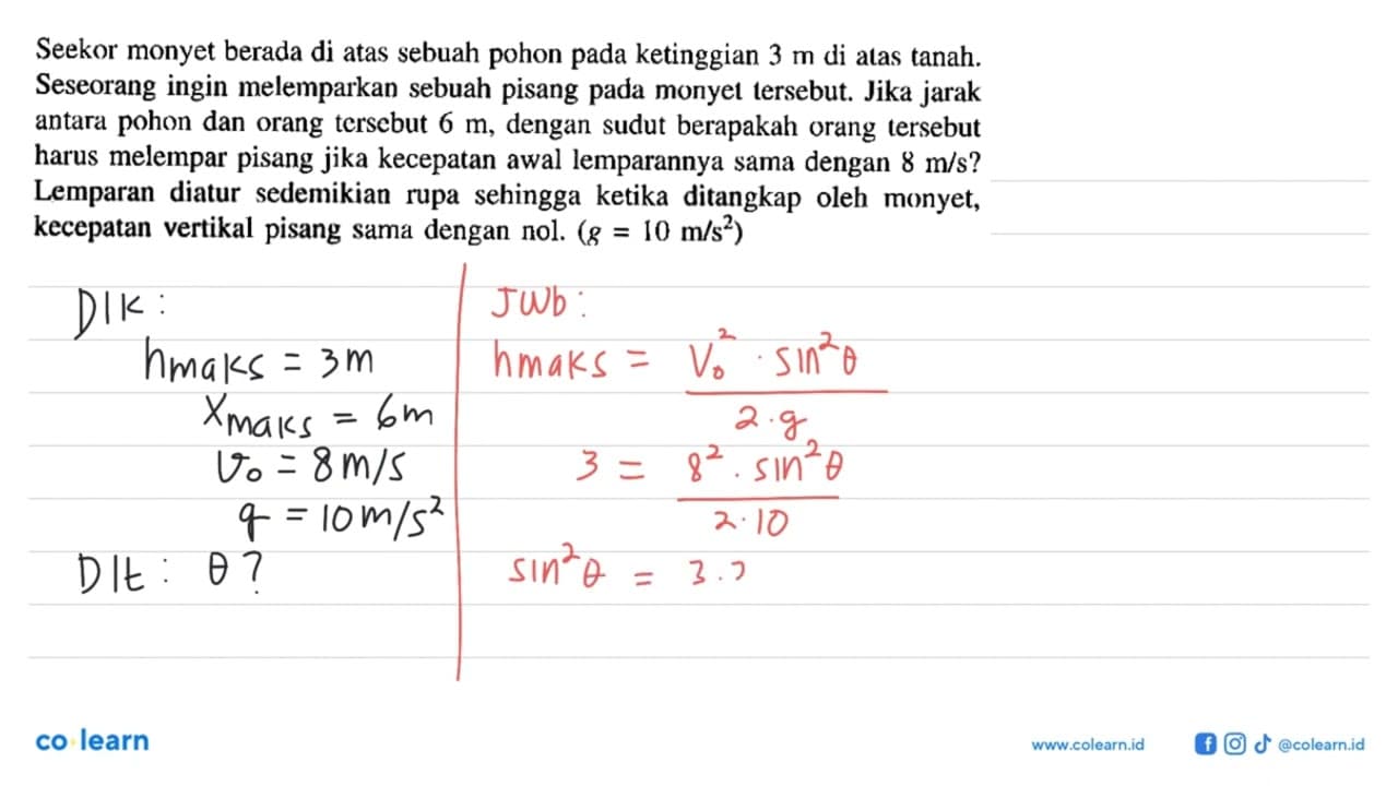 Seekor monyet berada di atas sebuah pohon pada ketinggian 3