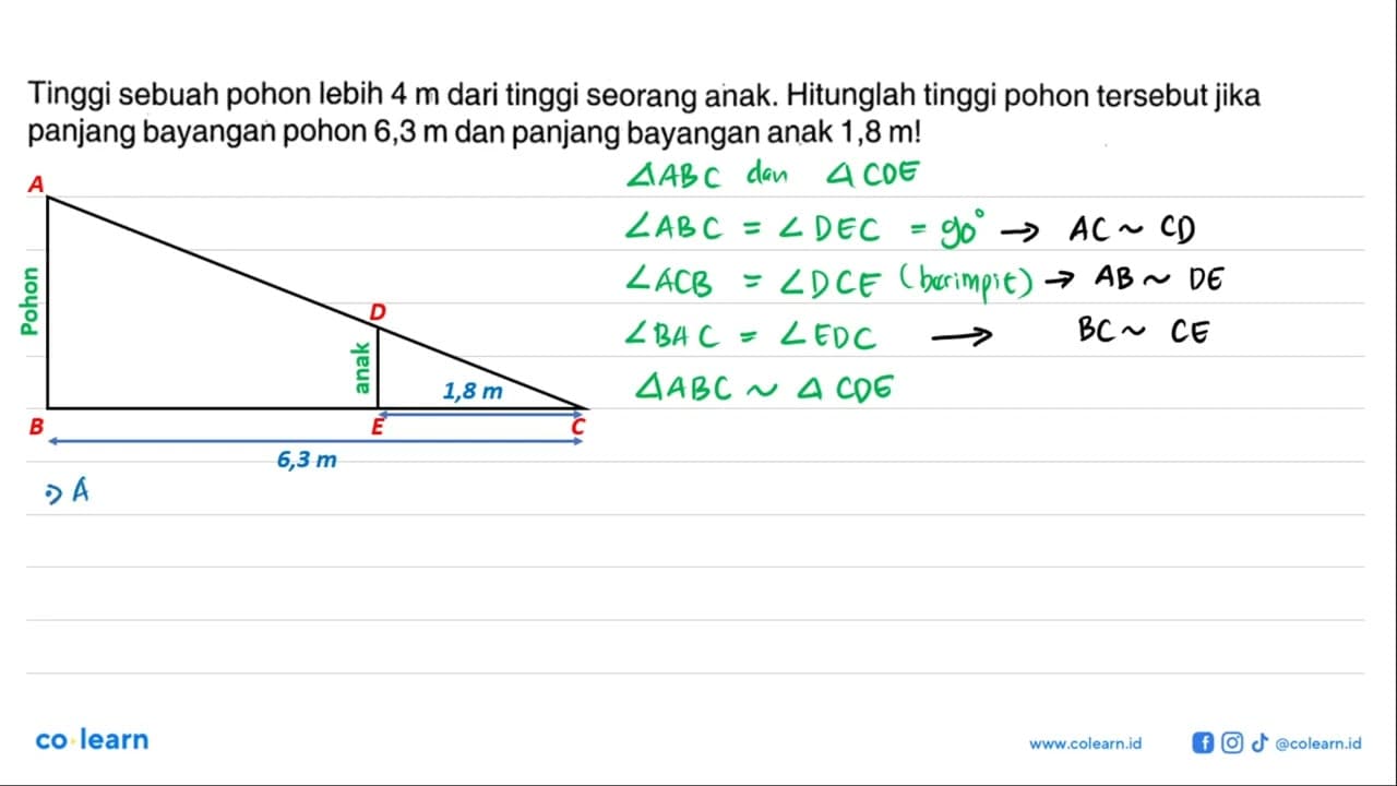 Tinggi sebuah pohon lebih 4 m dari tinggi seorang anak.