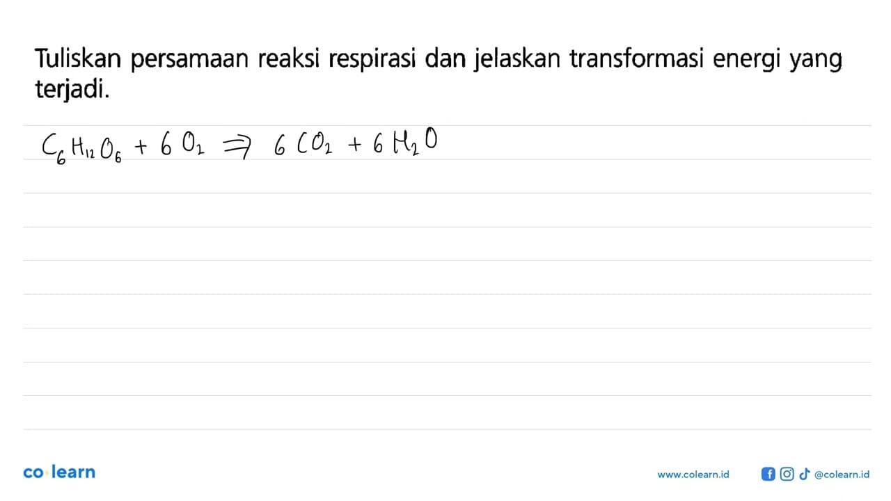 Tuliskan persamaan reaksi respirasi dan jelaskan