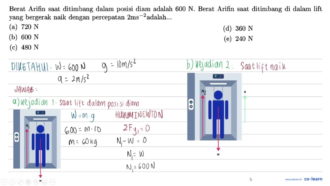 Berat Arifin saat ditimbang dalam posisi diam adalah 600 N.