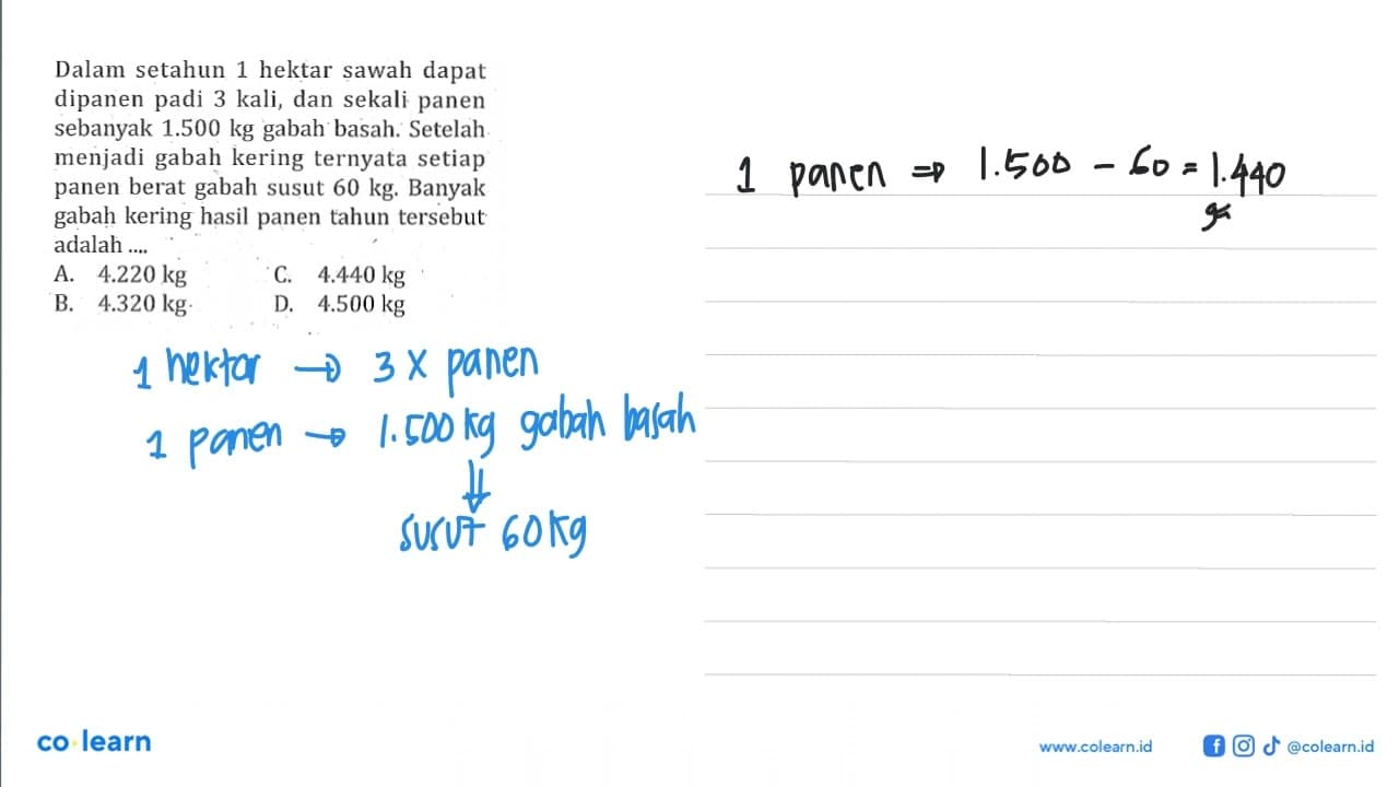 Dalam setahun 1 hektar sawah dapat dipanen padi 3 kali, dan