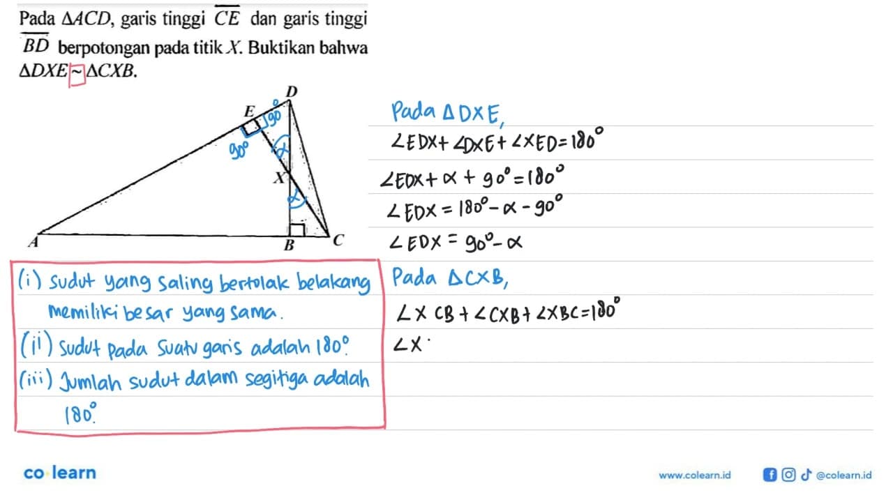 Pada segitiga ACD, garis tinggi CE dan garis tinggi BD