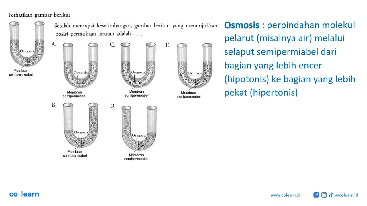 Perhatikan gambar berikut Osmosis Membran semipermeabel