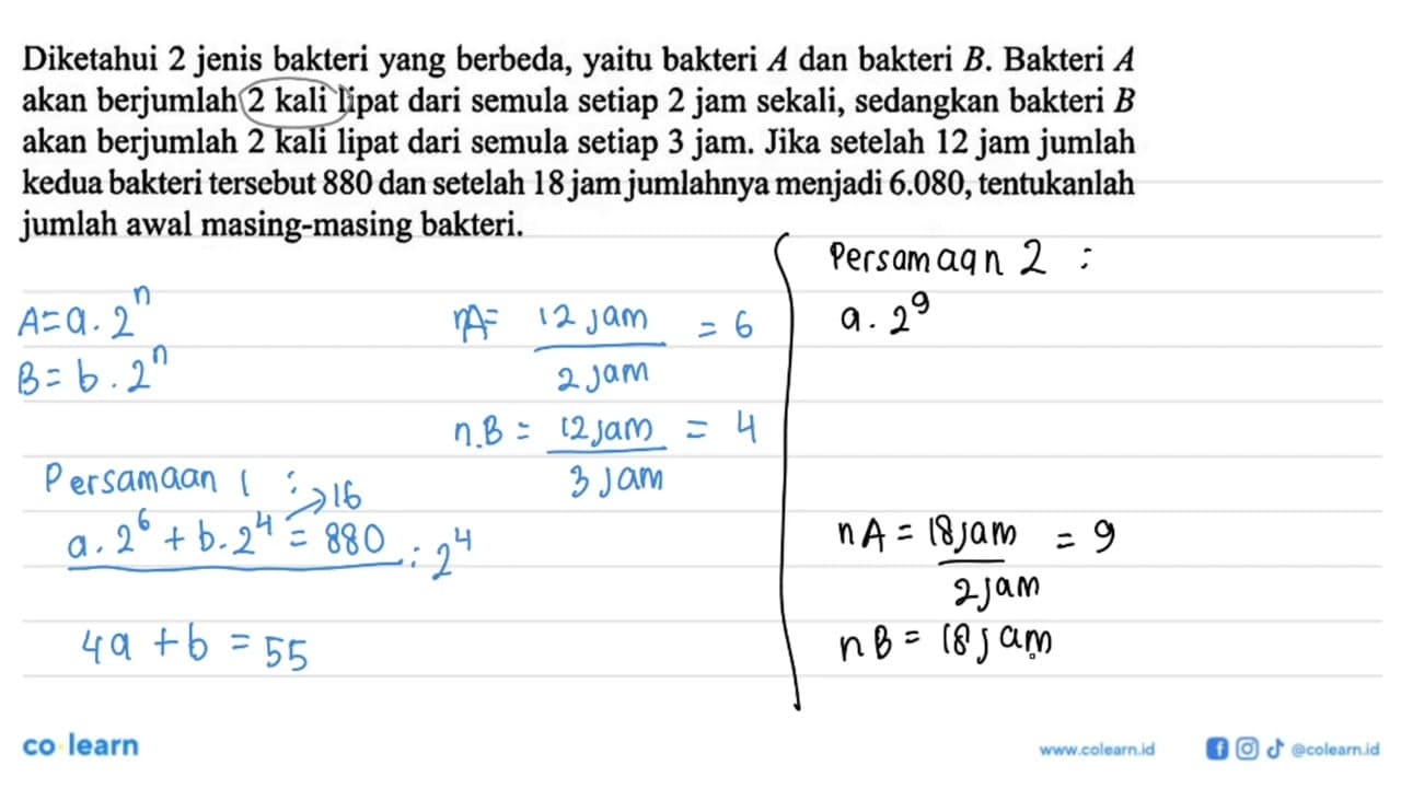 Diketahui 2 jenis bakteri yang berbeda, yaitu bakteri A dan