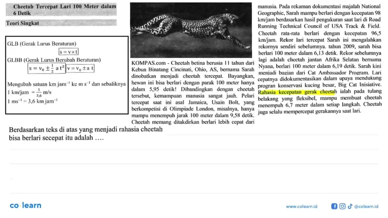 Berdasarkan teks di atas yang menjadi rahasia cheetah bisa