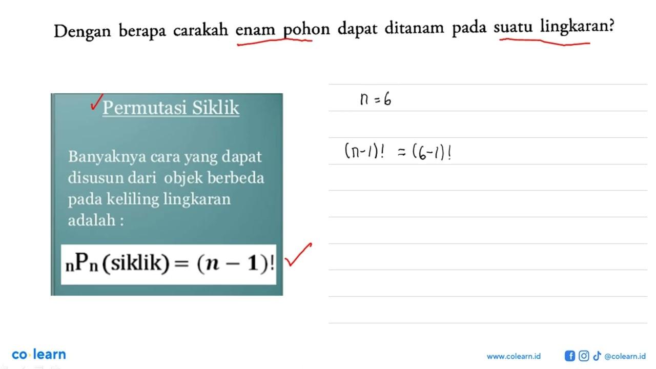 Dengan berapa carakah enam pohon dapat ditanam pada suatu