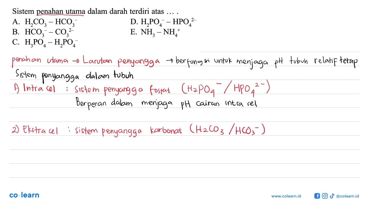 Sistem penahan utama dalam darah terdiri atas...A.