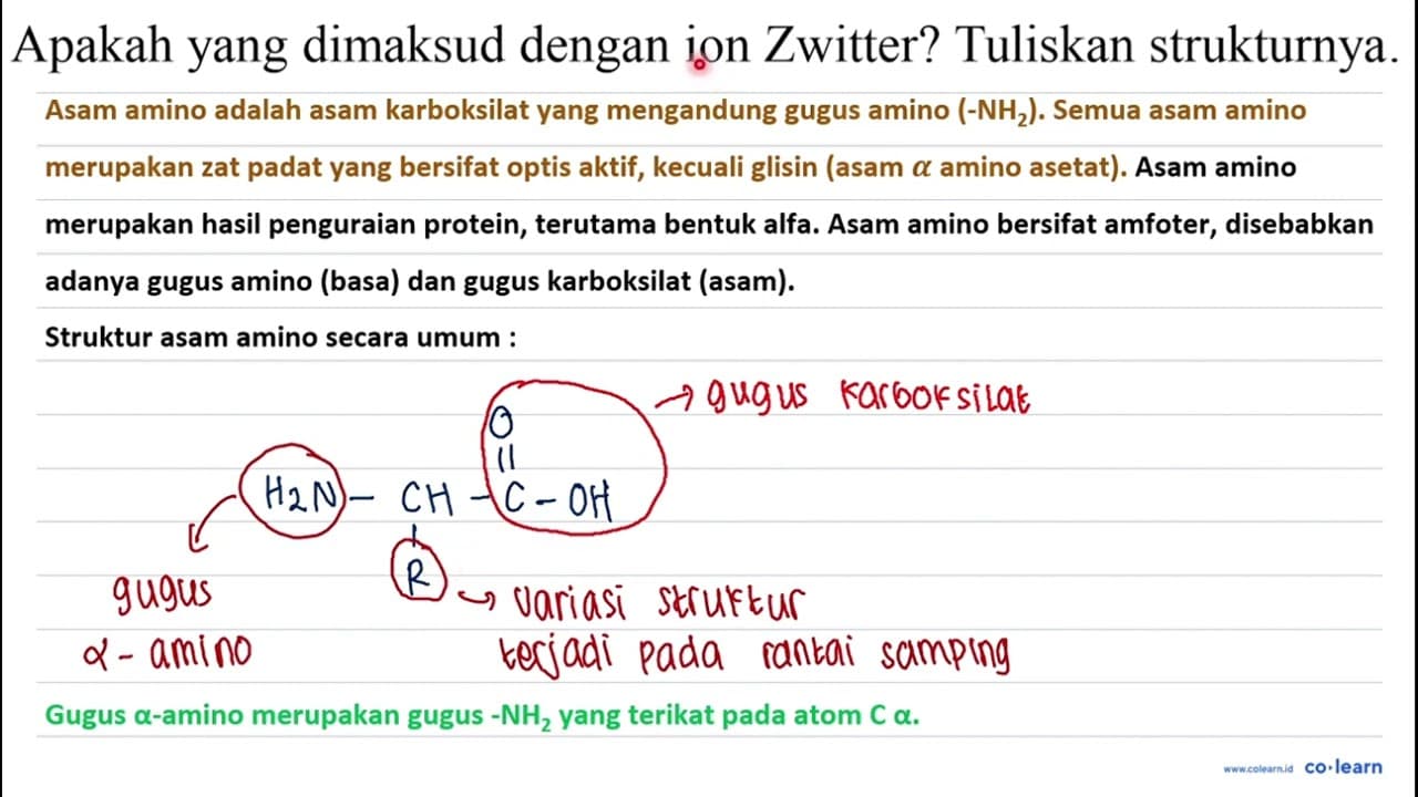 Apakah yang dimaksud dengan ion Zwitter? Tuliskan