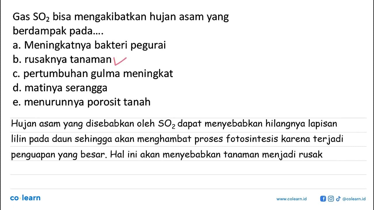 Gas SO2 bisa mengakibatkan hujan asam yang berdampak