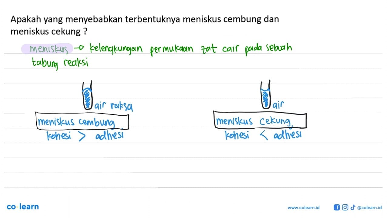 Apakah yang menyebabkan terbentuknya meniskus cembung dan