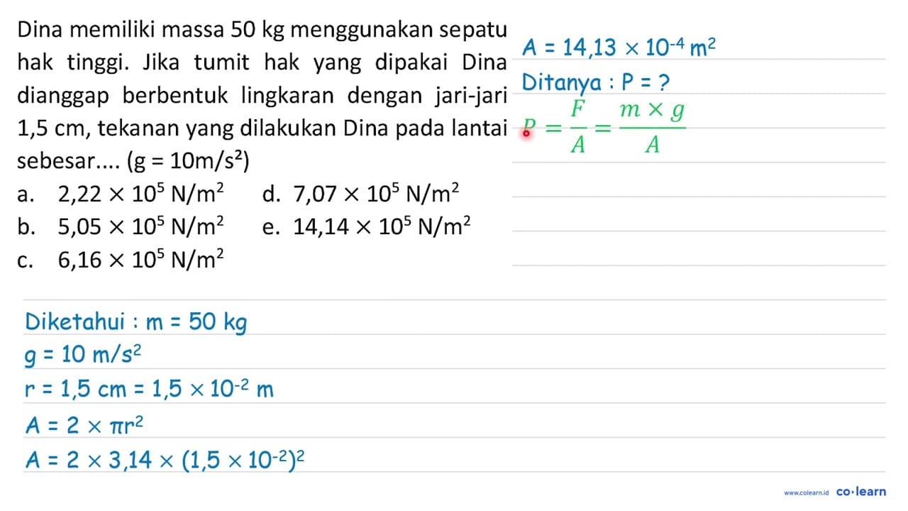 Dina memiliki massa 50 kg menggunakan sepatu hak tinggi.