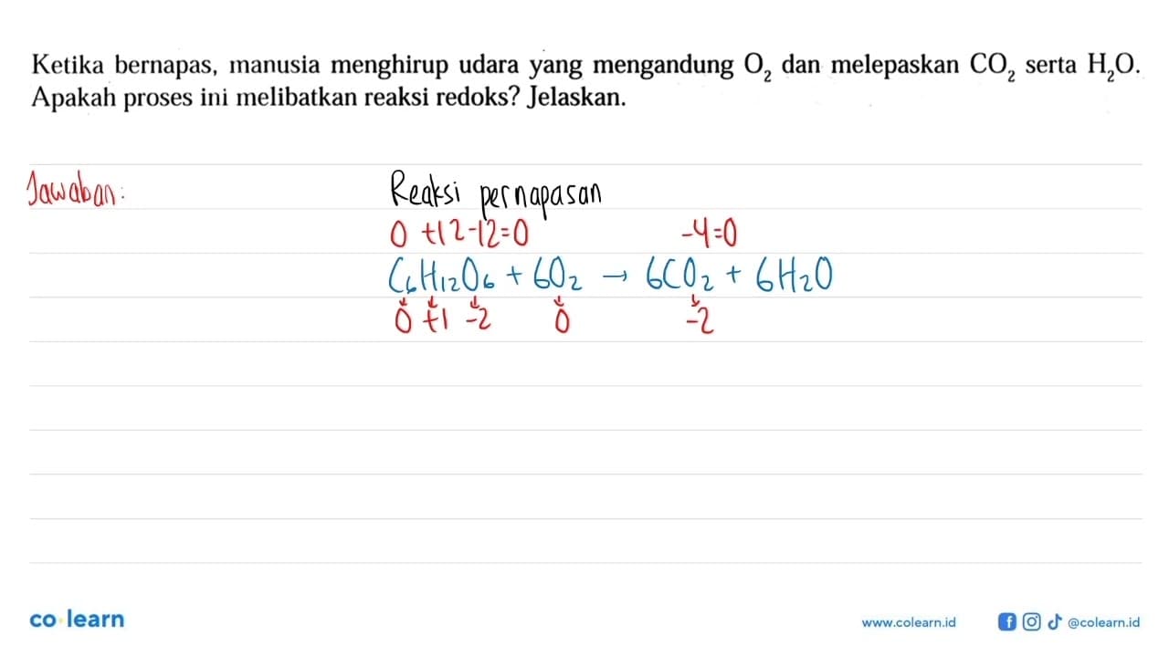 Ketika bernapas, manusia menghirup udara yang mengandung O2