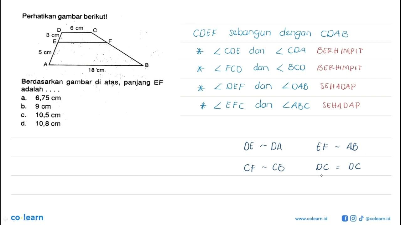 Perhatikan gambar berikut! D 6 cm C 3 cm E F 5 cm A B 18 cm