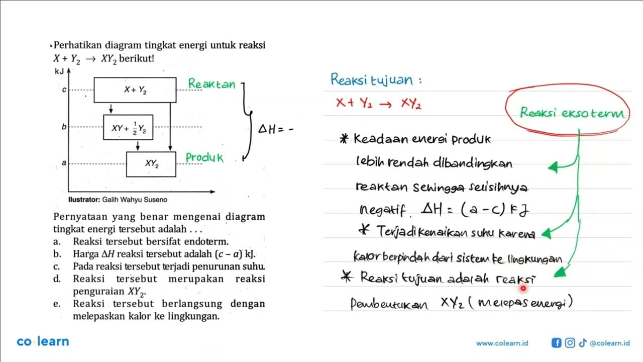 Perhatikan diagram tingkat energi untuk reaksi X + Y2 ->