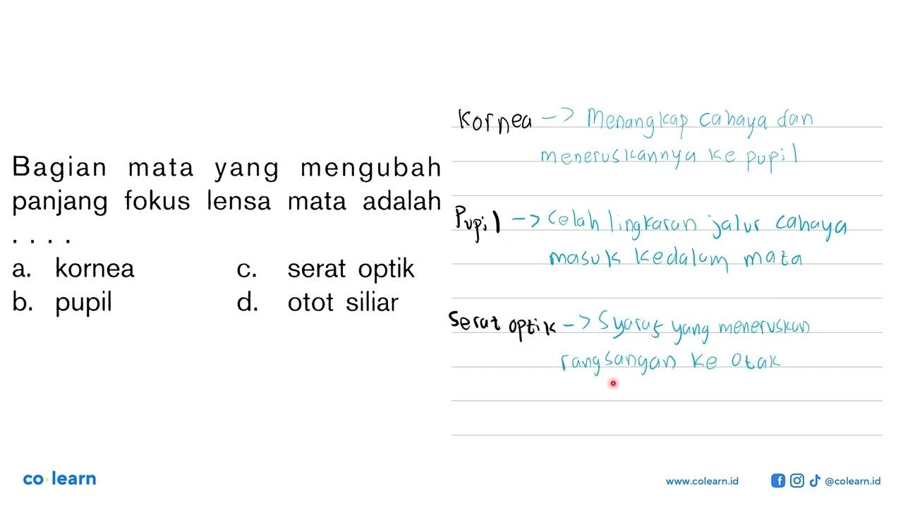 Bagian mata yang mengubah panjang fokus lensa mata