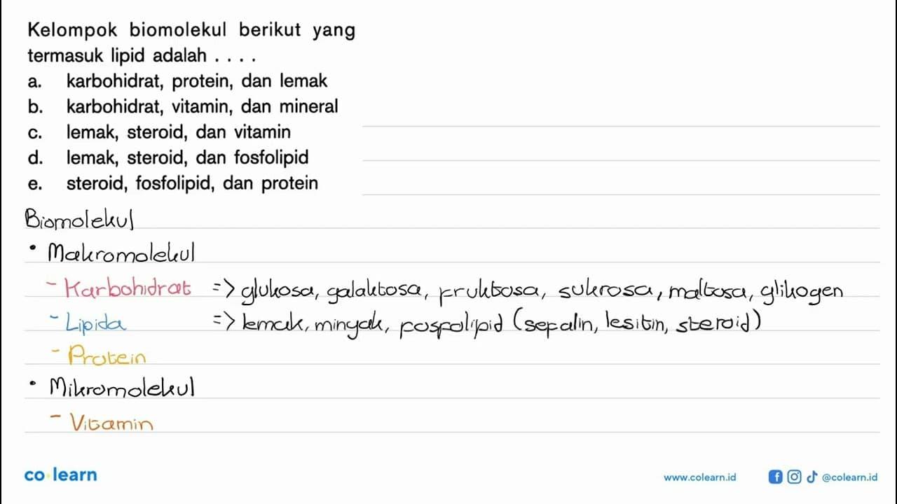 Kelompok biomolekul berikut yang termasuk lipid adalah ....