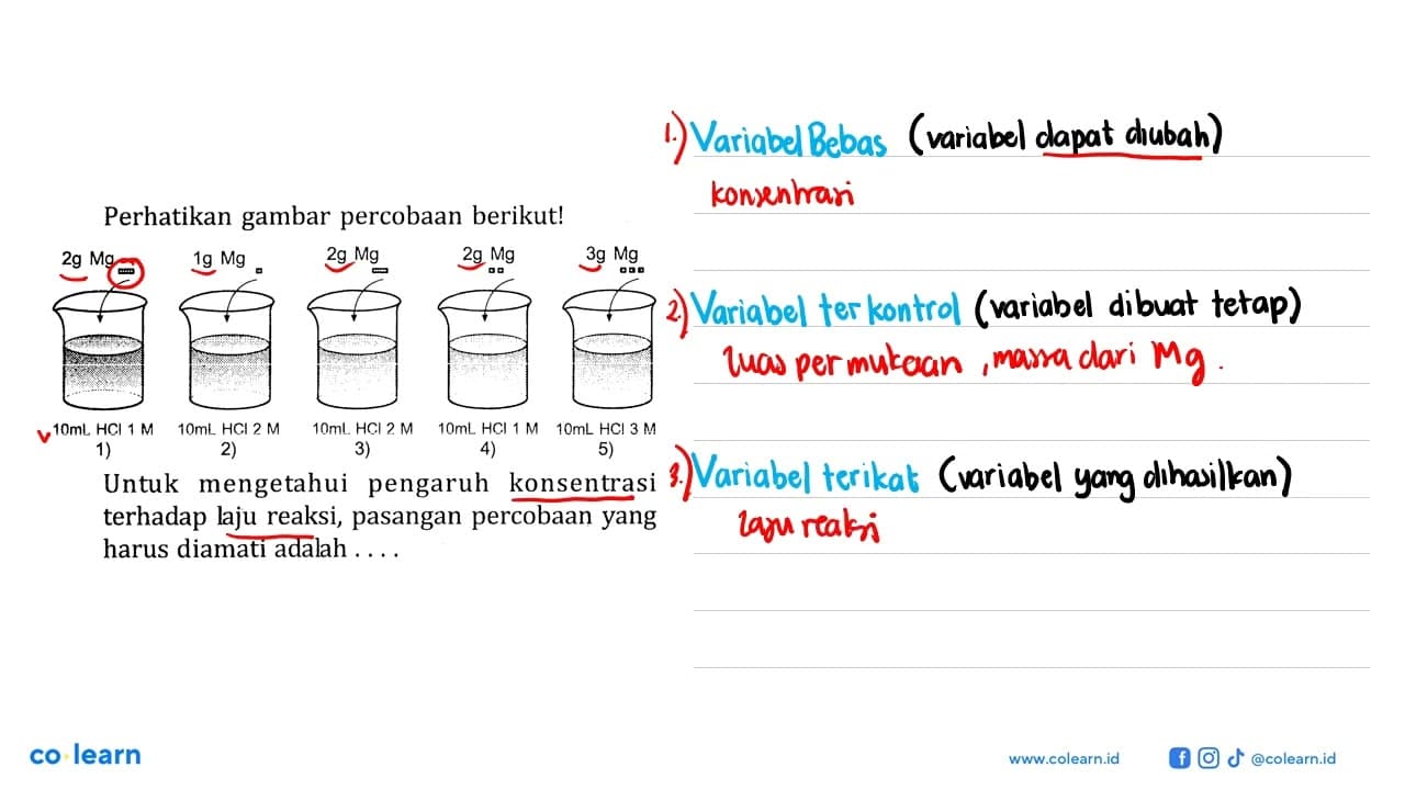 Perhatikan gambar percobaan berikut! 2g Mg 1g Mg 2g Mg 2g