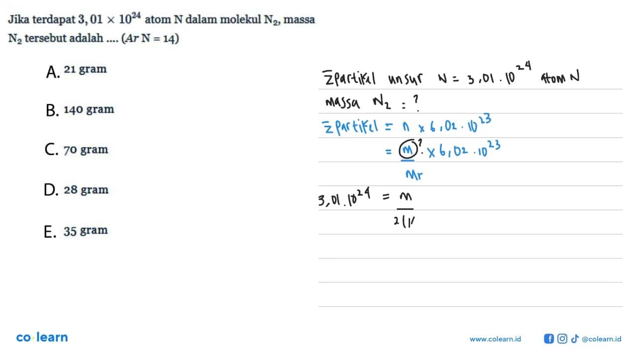 Jika terdapat 3,01x10^24 atom N dalam molekul N2, massa N2