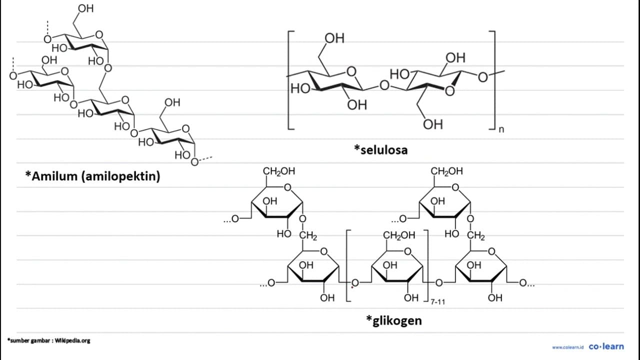 Berikut persamaan dari amilum, glikogen dan selulosa: (1).