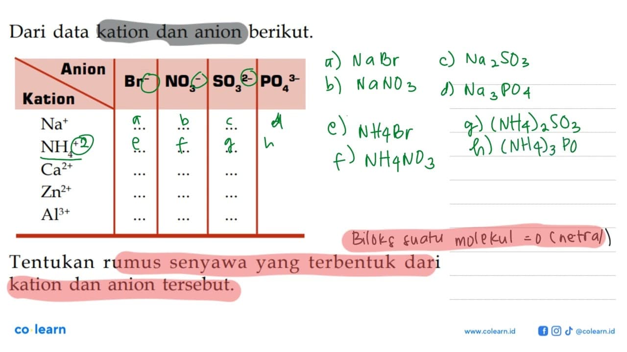 Dari data kation dan anion berikut. Anion Br^- NO3^-