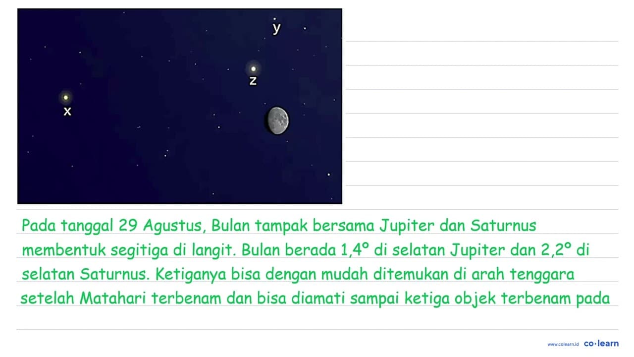 Anita sedang melihat penampakan langit malam di bulan