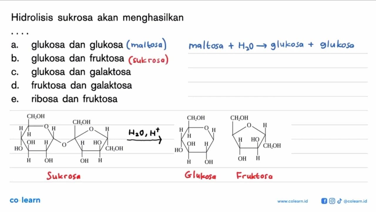 Hidrolisis sukrosa akan menghasilkan...