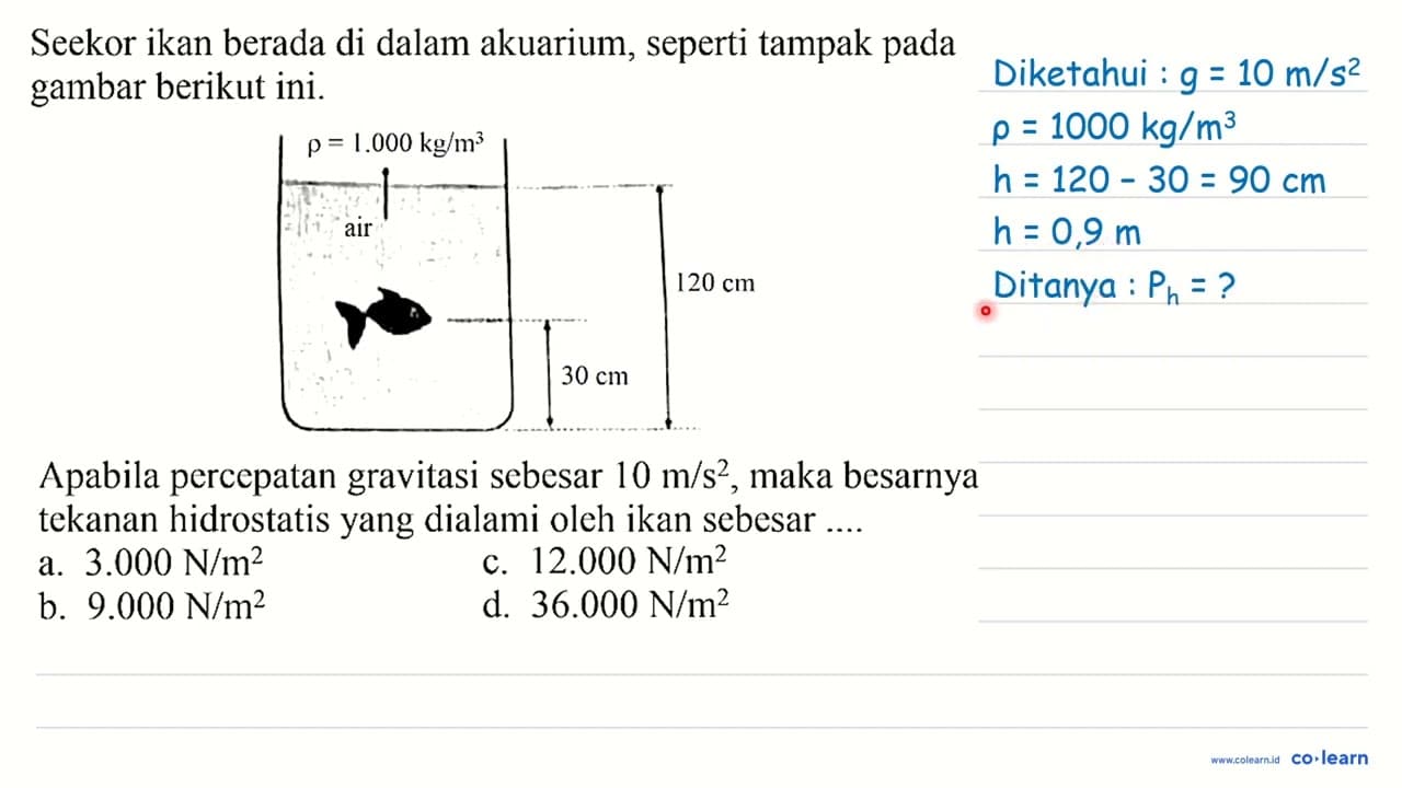 Seekor ikan berada di dalam akuarium, seperti tampak pada