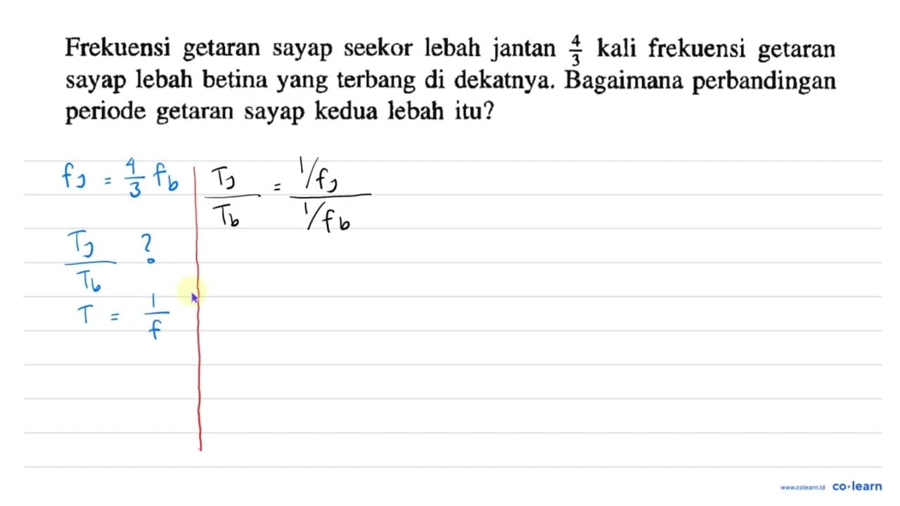 Frekuensi getaran sayap seekor lebah jantan 4/3 kali