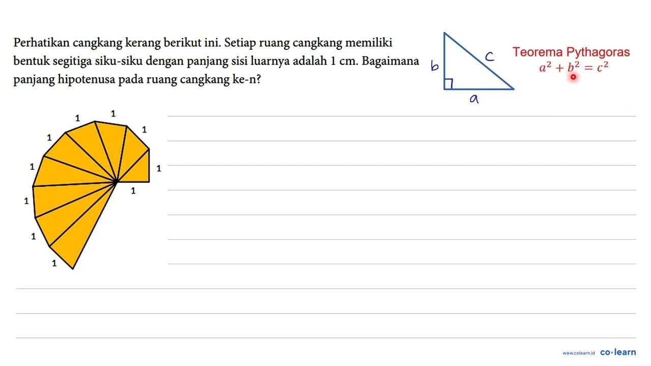 Cangkang kerang merupakan salah satu contoh bentuk