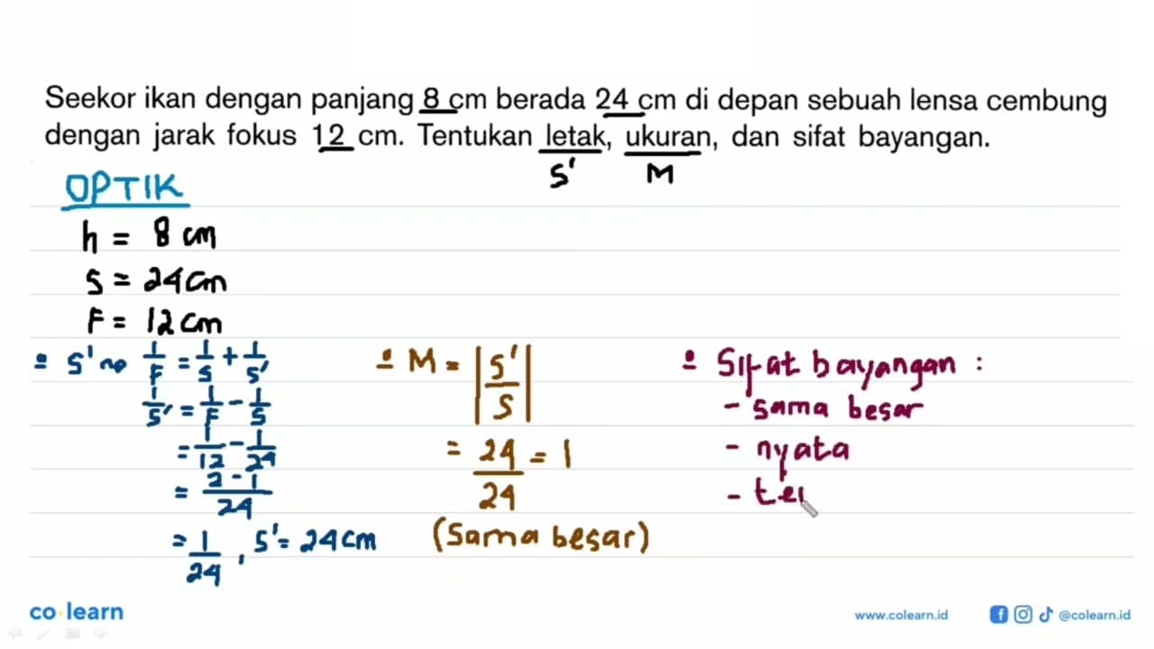 Seekor ikan dengan panjang 8 cm berada 24 cm di depan