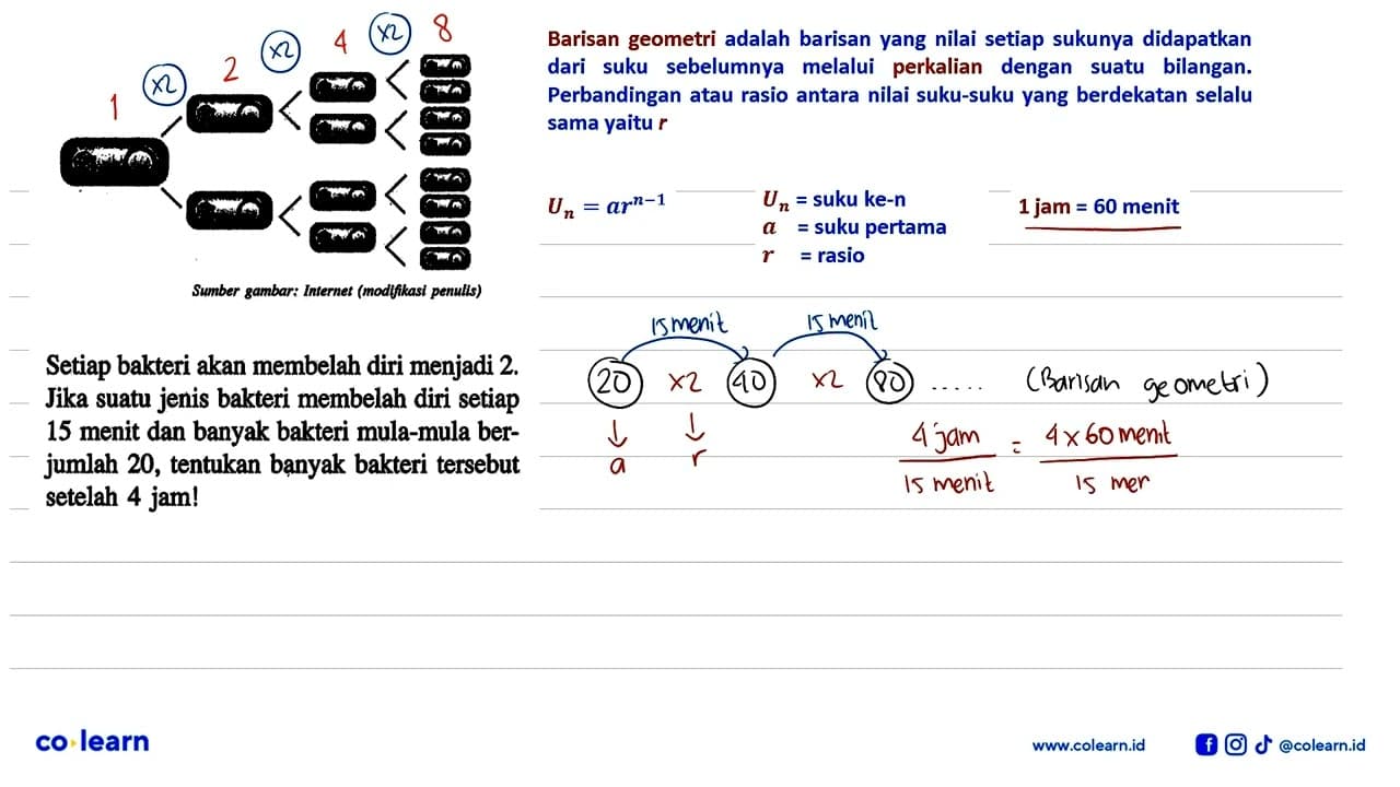 Setiap bakteri akan membelah diri menjadi 2. Jika suatu