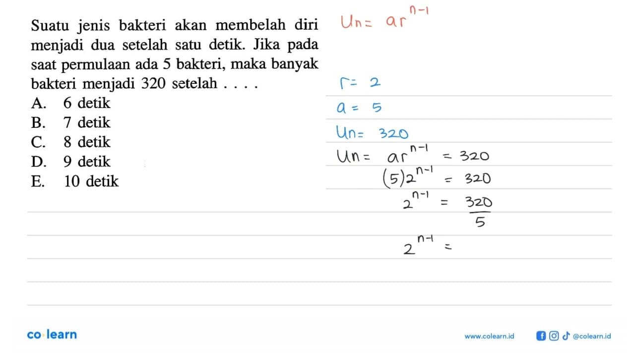 Suatu jenis bakteri akan membelah diri menjadi dua setelah