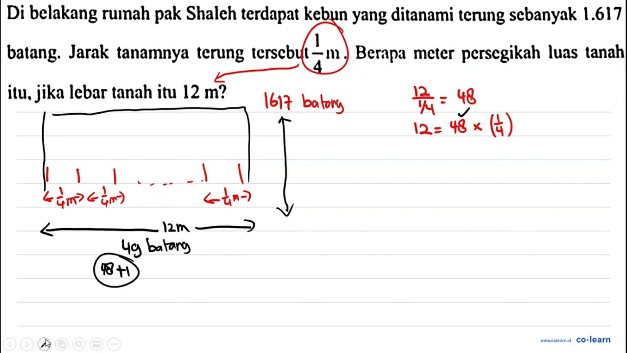 Di belakang rumah pak Shaleh terdapat kebun yang ditanami