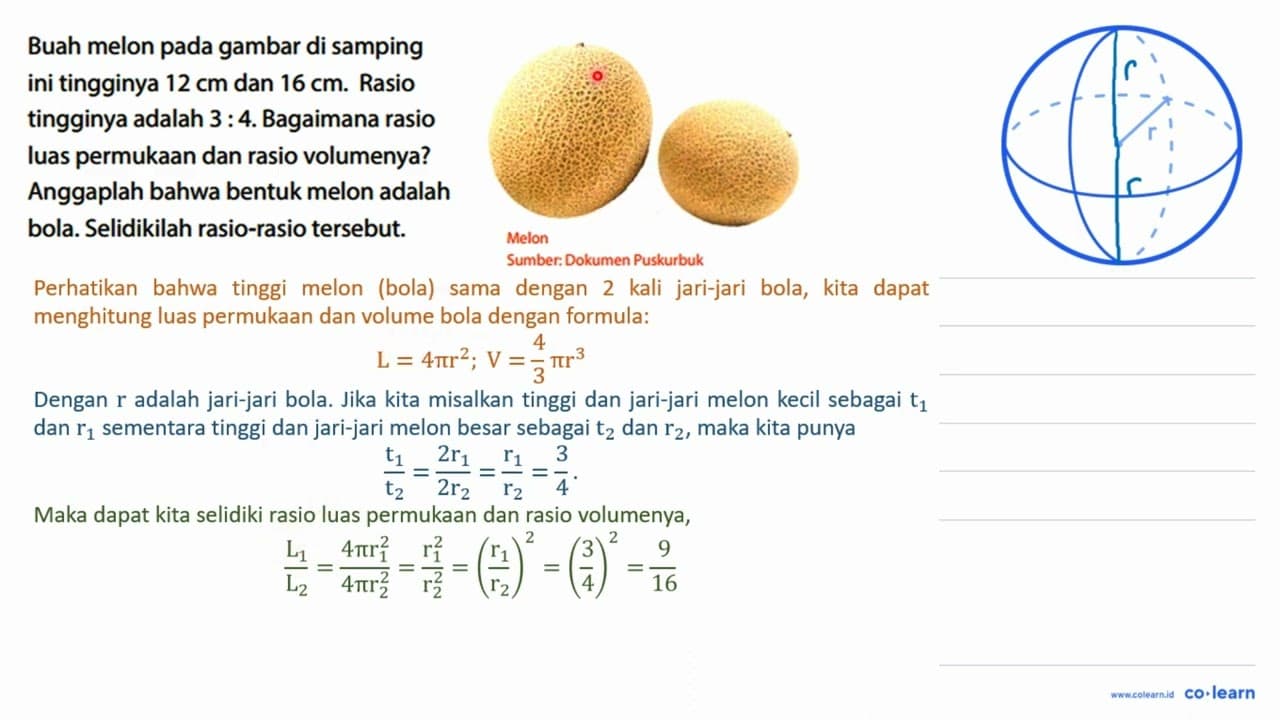 Buah melon pada gambar di samping ini tingginya 12 cm dan