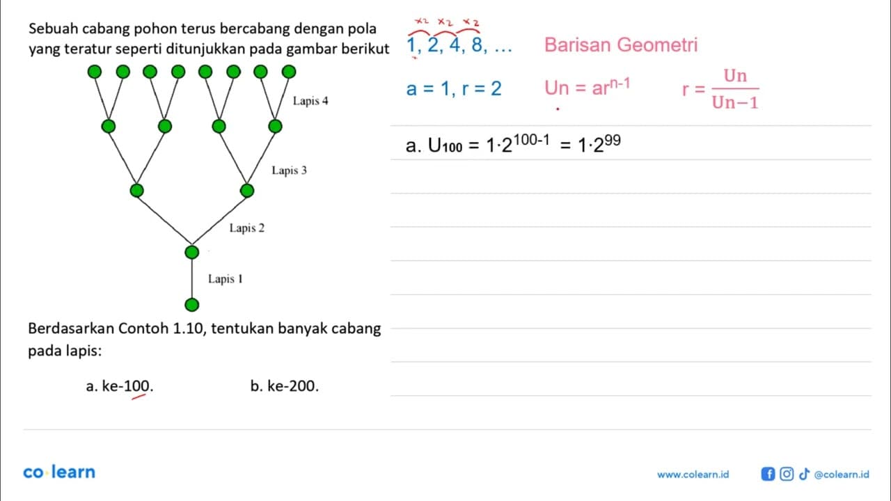 Berdasarkan Contoh 1.10, tentukan banyak cabang pada lapis: