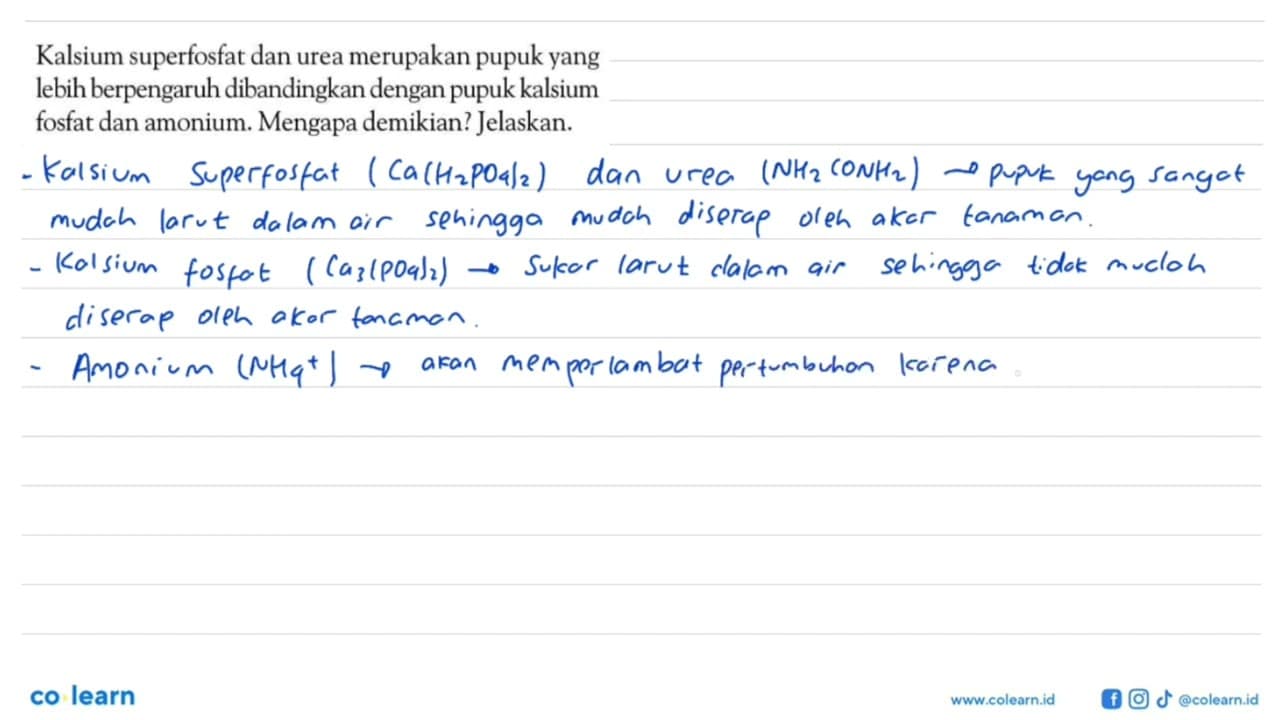 Kalsium superfosfat dan urea merupakan pupuk yang lebih