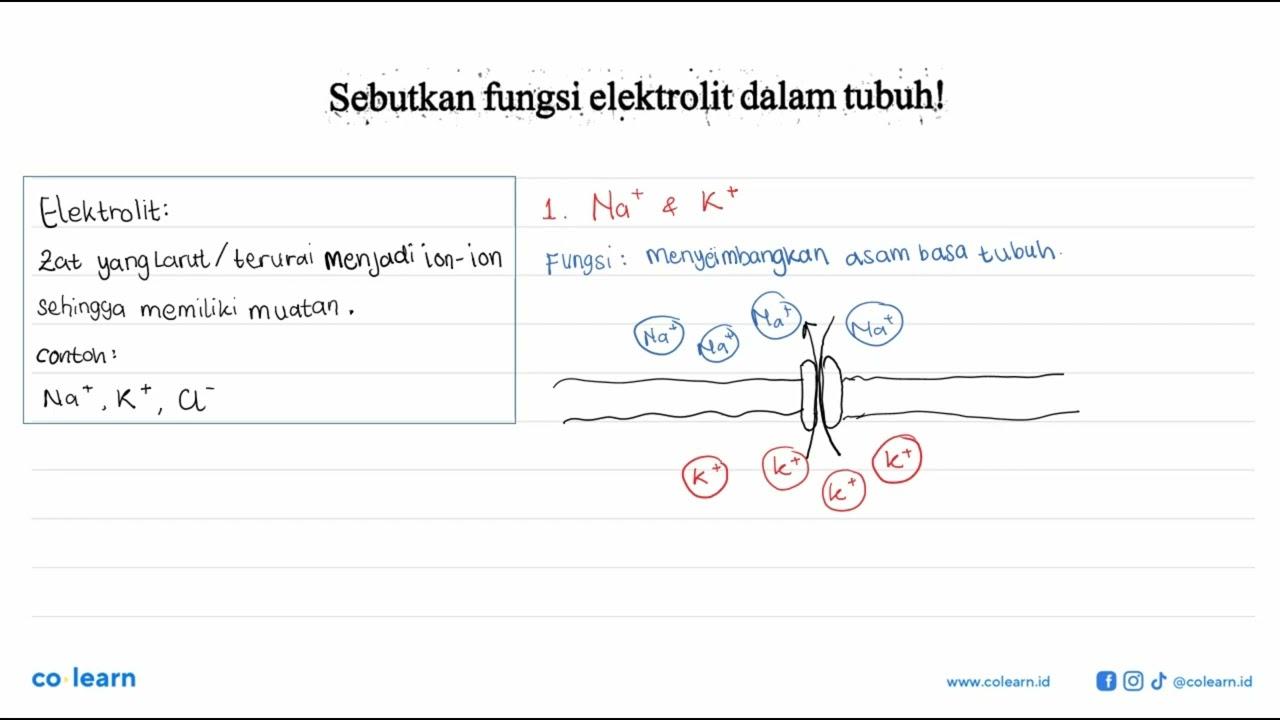 Sebutkan fungsi elektrolit dalam tubuh!