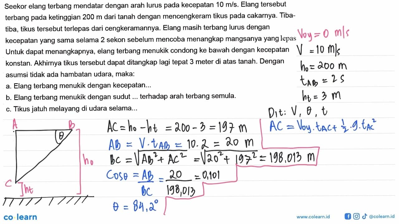 Seekor elang terbang mendatar dengan arah lurus pada