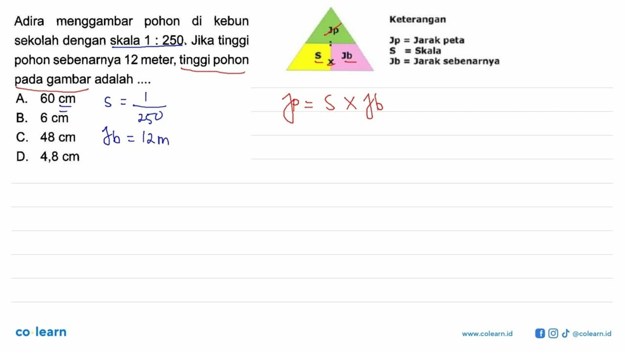 Adira menggambar pohon di kebun sekolah dengan skala 1:250.