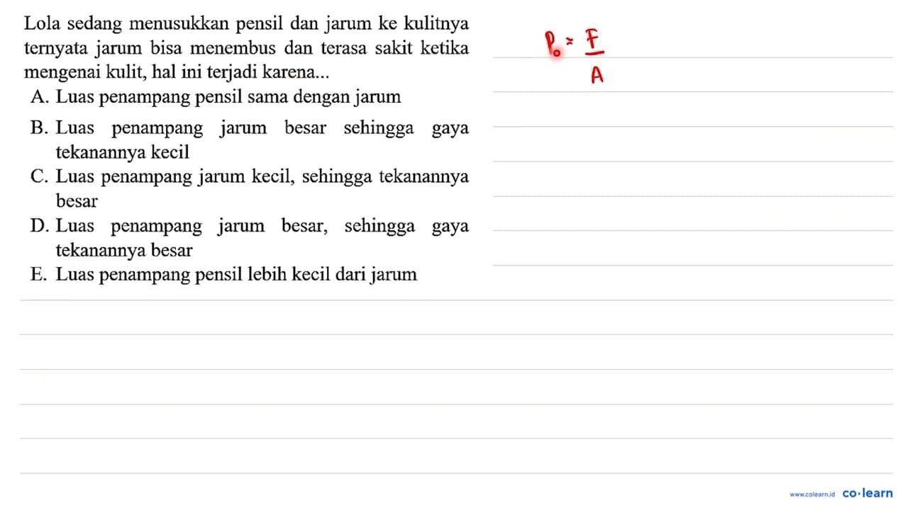 Lola sedang menusukkan pensil dan jarum ke kulitnya