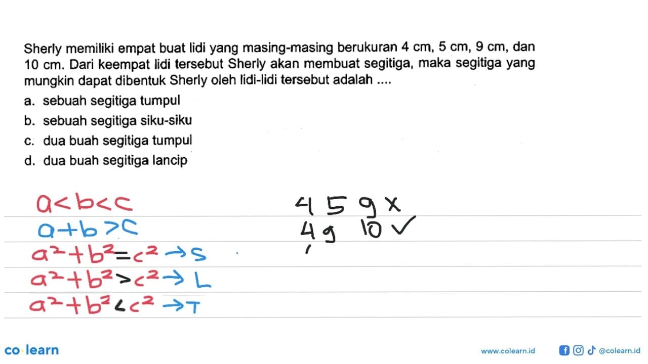 Sherly memiliki empat buat lidi yang masing-masing