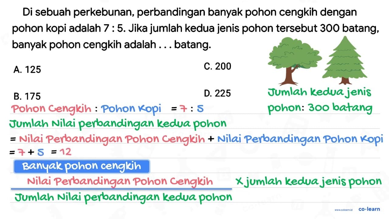 Di sebuah perkebunan, perbandingan banyak pohon cengkih