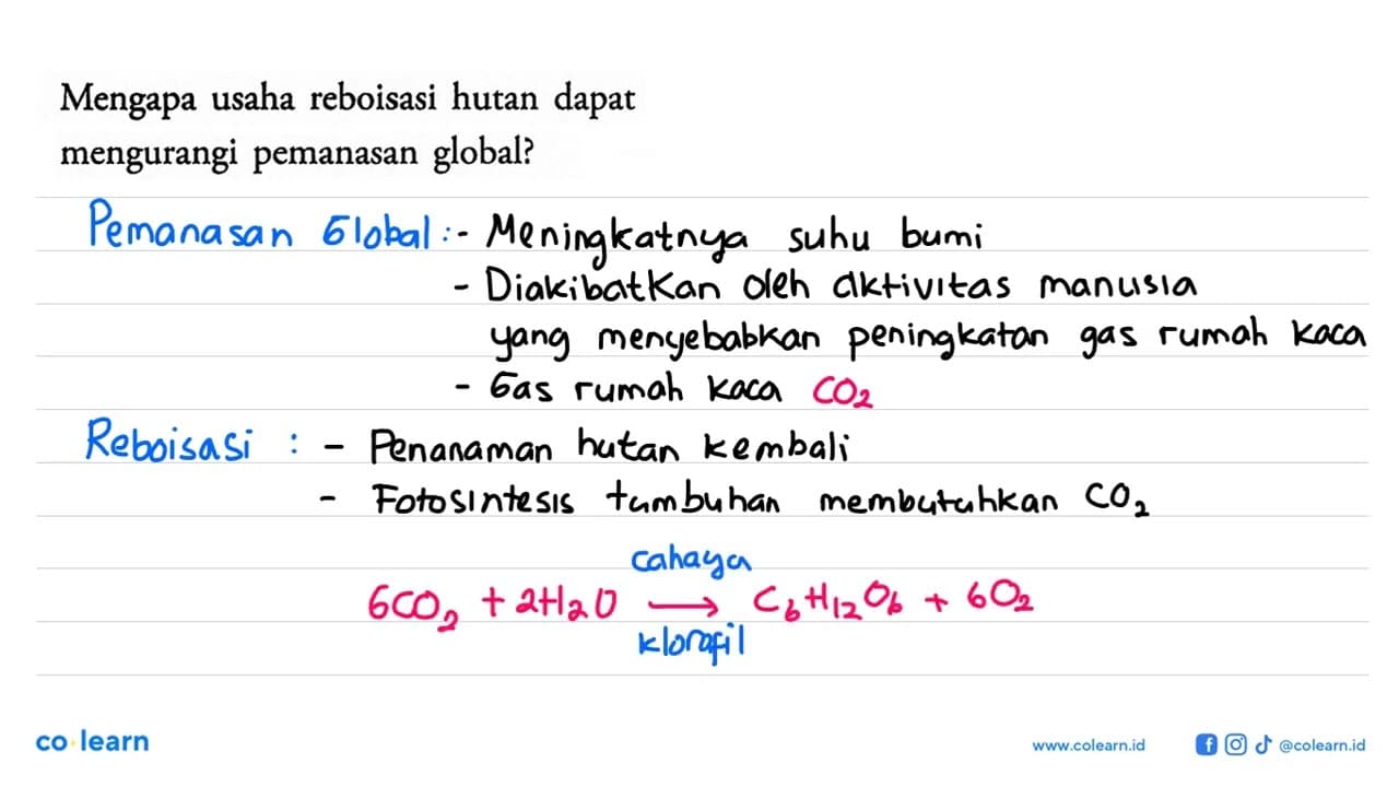 Mengapa usaha reboisasi hutan dapat mengurangi pemanasan