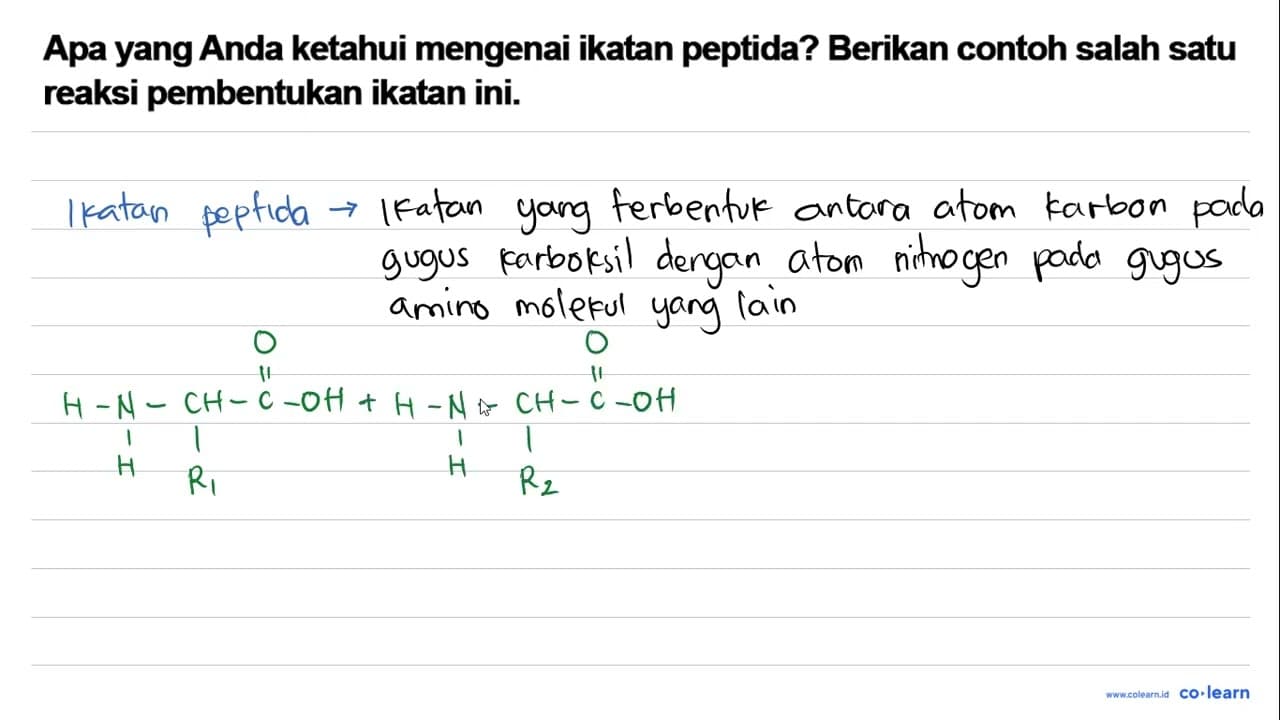 Apa yang Anda ketahui mengenai ikatan peptida? Berikan