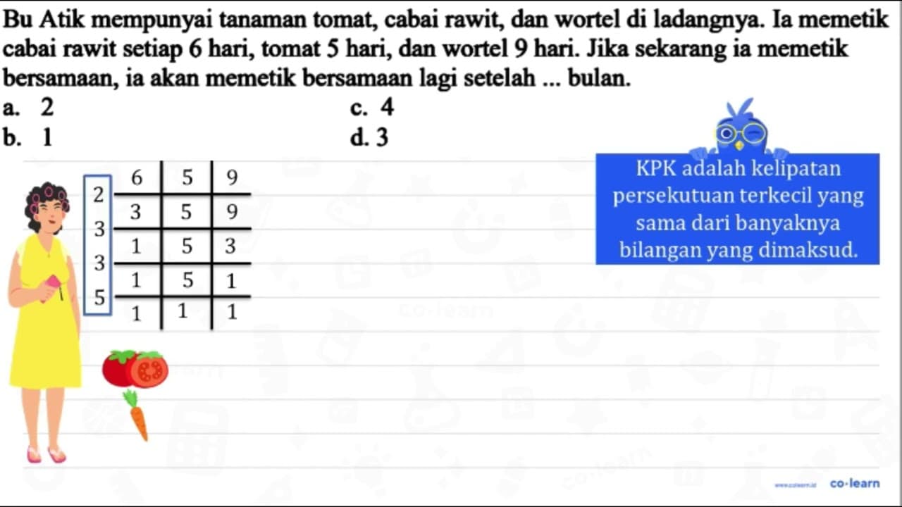 Bu Atik mempunyai tanaman tomat, cabai rawit, dan wortel di